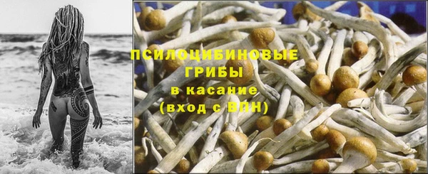 гидропоника Арсеньев