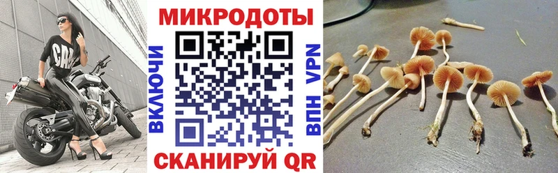 Псилоцибиновые грибы Cubensis  как найти закладки  mega сайт  Солигалич 